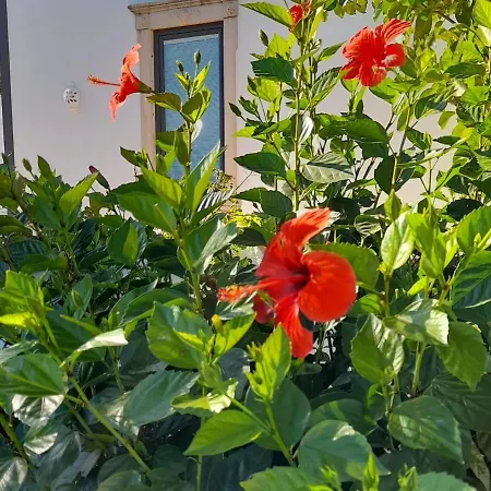 Tiny House Horses Hbergement Atypique Loul