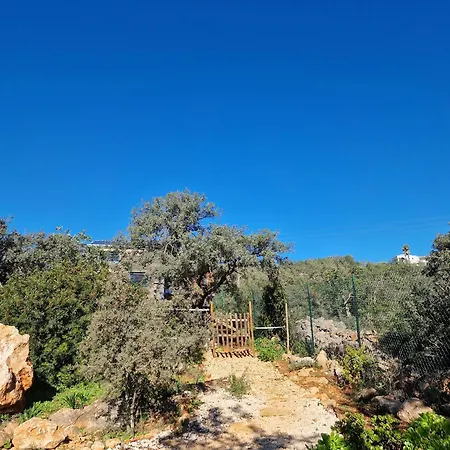 Location Tiny House Chalet Loulé